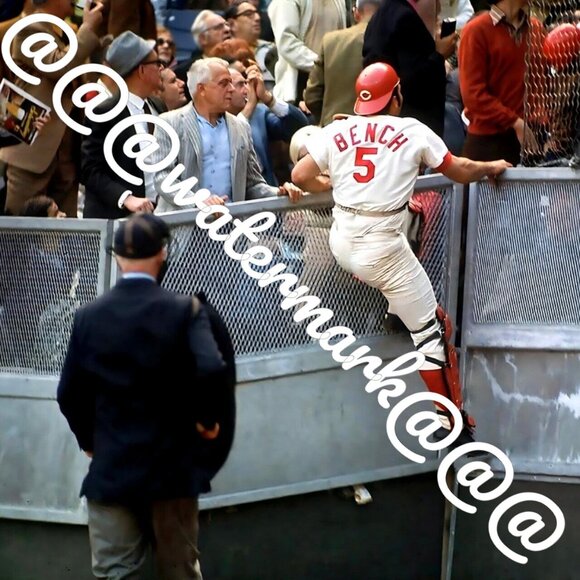 CINCINNATI REDS JOHNNY BENCH CLIMBS RAILING GOING FOR FOUL BALL - Picture 1 of 1